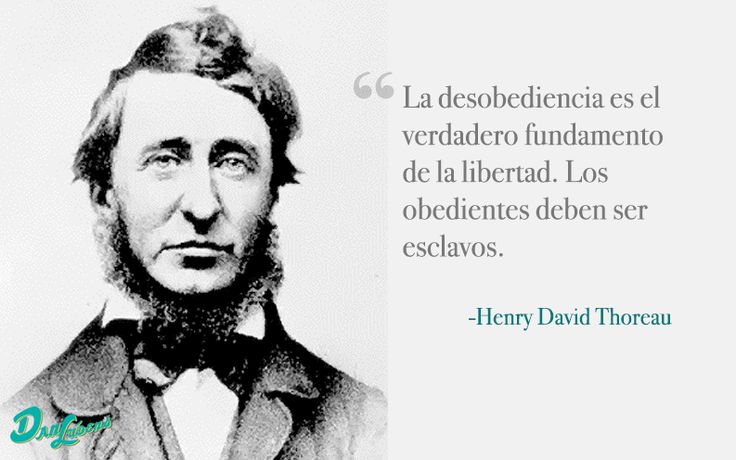 «Ciento once días de protestas, ciento once días de desobediencia al ilegítimo»