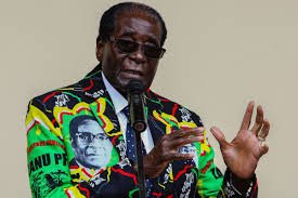 mugabe a la constituyente. postulantes a la mugabesa