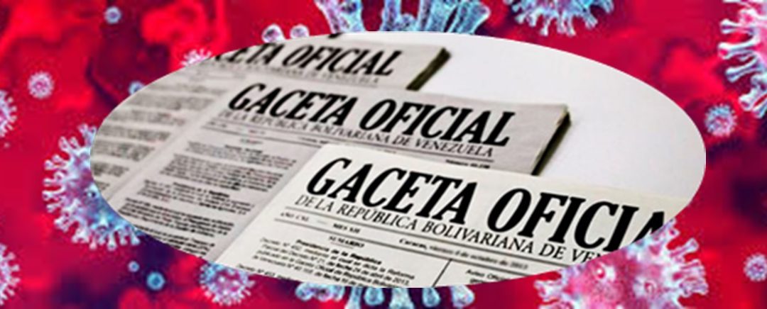Cuando el COVID-19 y la cuarentena se encuentran con el derecho procesal constitucional, los estados de excepción y un estado fallido. (Segunda parte)